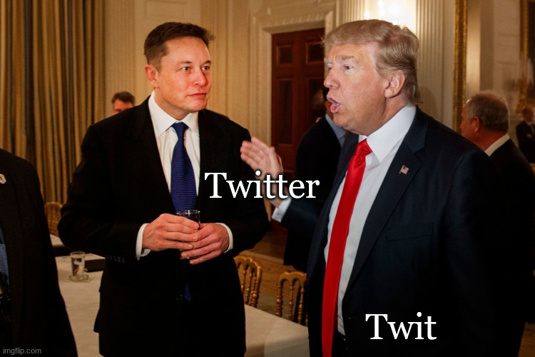 The difference between Musk and  Trump | Twitter; Twit | image tagged in trump and elon musk | made w/ Imgflip meme maker