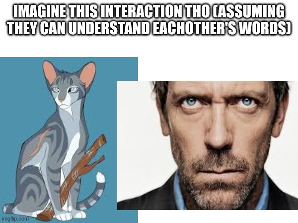 I know I am NOT wrong | IMAGINE THIS INTERACTION THO (ASSUMING THEY CAN UNDERSTAND EACHOTHER'S WORDS) | made w/ Imgflip meme maker