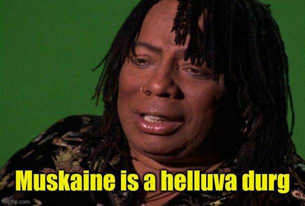 Rick James Cocaine is a Hell of a Drug | Muskaine is a helluva durg | image tagged in rick james cocaine is a hell of a drug | made w/ Imgflip meme maker