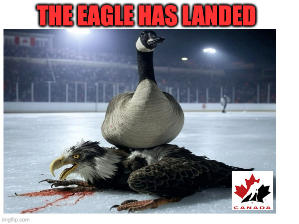 Team Canada Hockey Goose | THE EAGLE HAS LANDED | image tagged in team usa,team canada,hockey,funny,canada wins | made w/ Imgflip meme maker