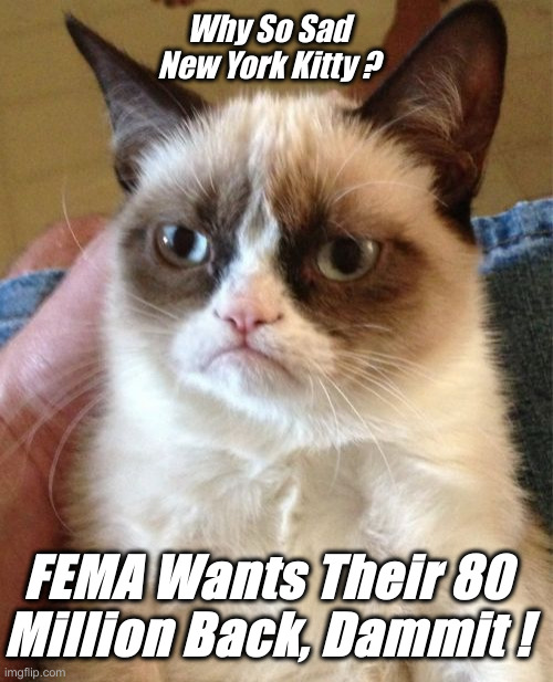 Migrant Housing Was A Scam | Why So Sad New York Kitty ? FEMA Wants Their 80 Million Back, Dammit ! | image tagged in memes,grumpy cat,political meme,politics,funny memes,funny | made w/ Imgflip meme maker