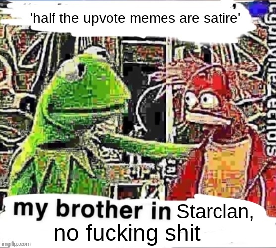 bro | 'half the upvote memes are satire' no fucking shit Starclan, | image tagged in my brother in christ | made w/ Imgflip meme maker