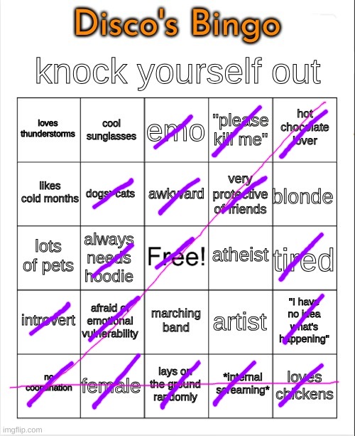 Disco's Bingo | image tagged in disco's bingo | made w/ Imgflip meme maker