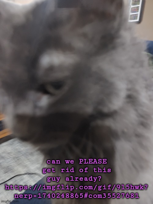 32's Cat | can we PLEASE get rid of this guy already? 
https://imgflip.com/gif/9l5hwk?
nerp=1740248865#com35527681 | made w/ Imgflip meme maker