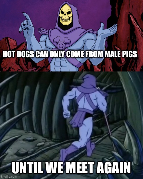 It might take a sec for you to get it | HOT DOGS CAN ONLY COME FROM MALE PIGS; UNTIL WE MEET AGAIN | image tagged in skeletor until we meet again | made w/ Imgflip meme maker