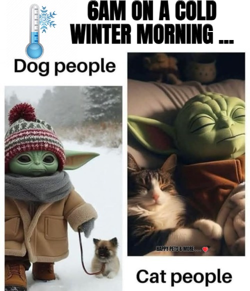 6AM ON A COLD WINTER MORNING ... HAPPY PETS & MORE . . . ❤️ | made w/ Imgflip meme maker