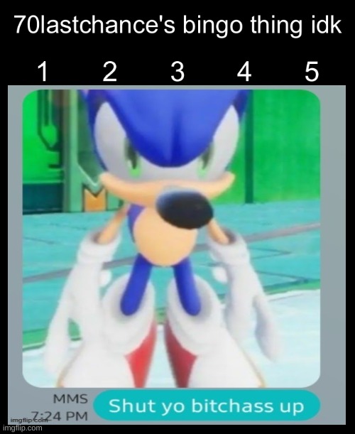 image tagged in 70lastchance's bingo thing idk | made w/ Imgflip meme maker