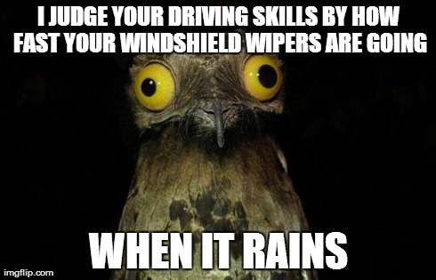 Weird Stuff I Do Potoo | I JUDGE YOUR DRIVING SKILLS BY HOW FAST YOUR WINDSHIELD WIPERS ARE GOING WHEN IT RAINS | image tagged in memes,weird stuff i do potoo,AdviceAnimals | made w/ Imgflip meme maker