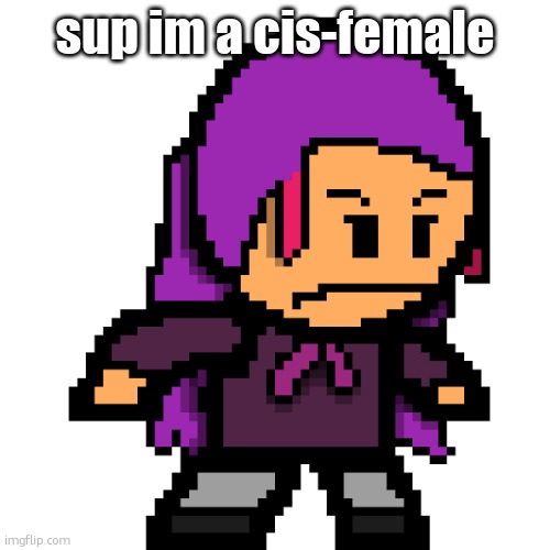 naomi / echo | sup im a cis-female | image tagged in naomi / echo | made w/ Imgflip meme maker