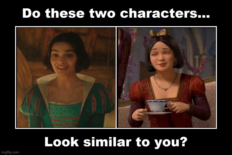 These 2 Snow Whites Looks Similar | image tagged in do these two characters look similar to you meme,snow white,shrek,disney princess,fairy tales,snow | made w/ Imgflip meme maker