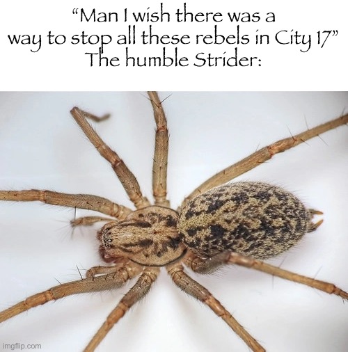 Strider | “Man I wish there was a way to stop all these rebels in City 17”
The humble Strider: | made w/ Imgflip meme maker