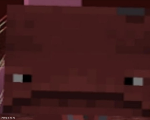 Strider face | image tagged in strider face | made w/ Imgflip meme maker