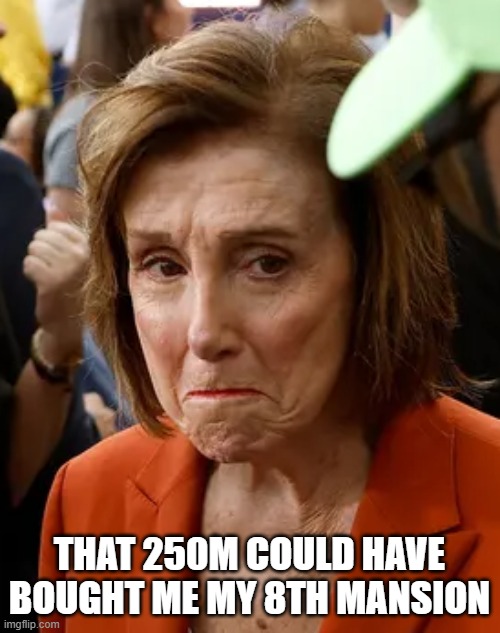 pelosi cry | THAT 250M COULD HAVE BOUGHT ME MY 8TH MANSION | image tagged in pelosi cry | made w/ Imgflip meme maker