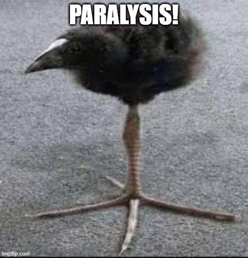 Tripod Bird | PARALYSIS! | image tagged in tripod bird | made w/ Imgflip meme maker