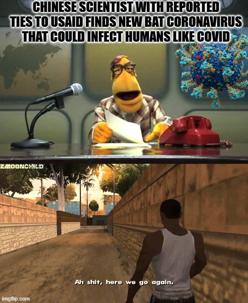 Just in time for a new plandemic. | CHINESE SCIENTIST WITH REPORTED TIES TO USAID FINDS NEW BAT CORONAVIRUS THAT COULD INFECT HUMANS LIKE COVID | image tagged in muppet news flash,here we go again | made w/ Imgflip meme maker