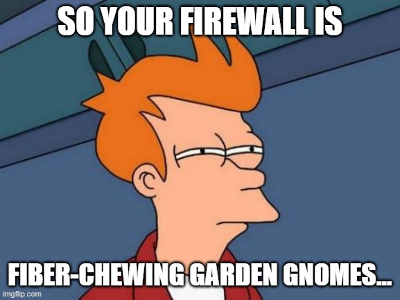 Futurama Fry Meme | SO YOUR FIREWALL IS FIBER-CHEWING GARDEN GNOMES... | image tagged in memes,futurama fry | made w/ Imgflip meme maker