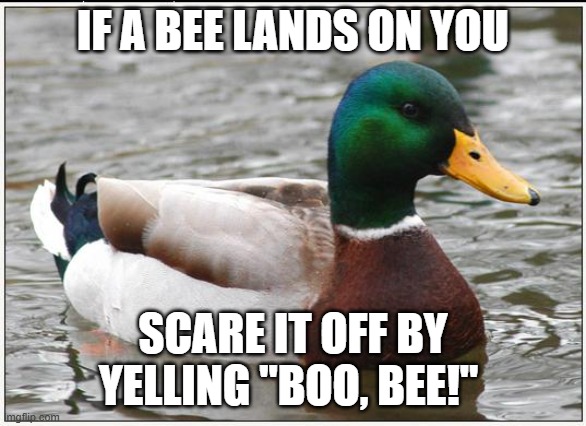 Actual Advice Mallard Meme | IF A BEE LANDS ON YOU SCARE IT OFF BY YELLING "BOO, BEE!" | image tagged in memes,actual advice mallard | made w/ Imgflip meme maker