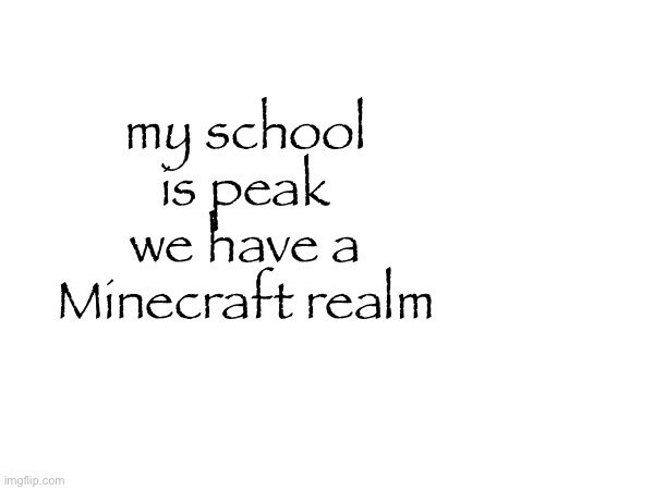 my school is peak we have a Minecraft realm | made w/ Imgflip meme maker