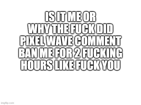 why the fuck did you do that | IS IT ME OR WHY THE FUCK DID PIXEL WAVE COMMENT BAN ME FOR 2 FUCKING HOURS LIKE FUCK YOU | image tagged in memes | made w/ Imgflip meme maker