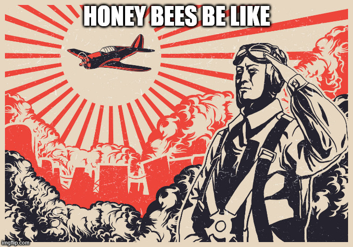 Imperial Japanese Kamikaze Pilot Propaganda Poster | HONEY BEES BE LIKE | image tagged in imperial japanese kamikaze pilot propaganda poster | made w/ Imgflip meme maker