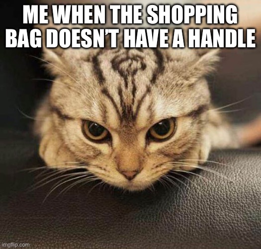 Grrrrr | ME WHEN THE SHOPPING BAG DOESN’T HAVE A HANDLE | image tagged in grrrrr | made w/ Imgflip meme maker