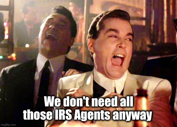 Good Fellas Hilarious Meme | We don't need all those IRS Agents anyway | image tagged in memes,good fellas hilarious | made w/ Imgflip meme maker