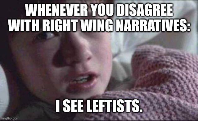 I See Dead People Meme | WHENEVER YOU DISAGREE WITH RIGHT WING NARRATIVES:; I SEE LEFTISTS. | image tagged in memes,i see dead people | made w/ Imgflip meme maker