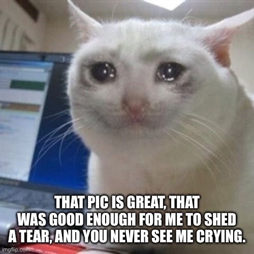 Crying cat | THAT PIC IS GREAT, THAT WAS GOOD ENOUGH FOR ME TO SHED A TEAR, AND YOU NEVER SEE ME CRYING. | image tagged in crying cat | made w/ Imgflip meme maker