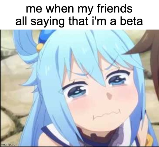 Crying Aqua Konosuba | me when my friends all saying that i'm a beta | image tagged in crying aqua konosuba | made w/ Imgflip meme maker