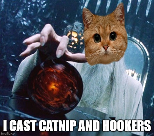 Saruman and Palantir | I CAST CATNIP AND HOOKERS | image tagged in saruman and palantir | made w/ Imgflip meme maker