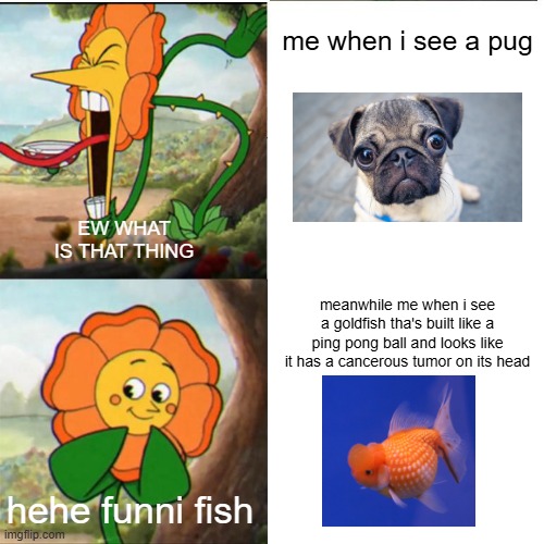 Cuphead Flower | me when i see a pug; EW WHAT IS THAT THING; meanwhile me when i see a goldfish tha's built like a ping pong ball and looks like it has a cancerous tumor on its head; hehe funni fish | image tagged in cuphead flower,dog,pug,fish,goldfish | made w/ Imgflip meme maker