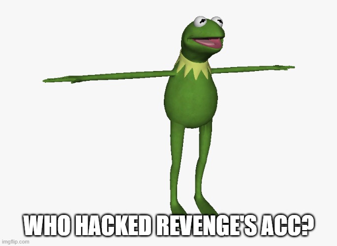 T Pose Kermit | WHO HACKED REVENGE'S ACC? | image tagged in t pose kermit | made w/ Imgflip meme maker