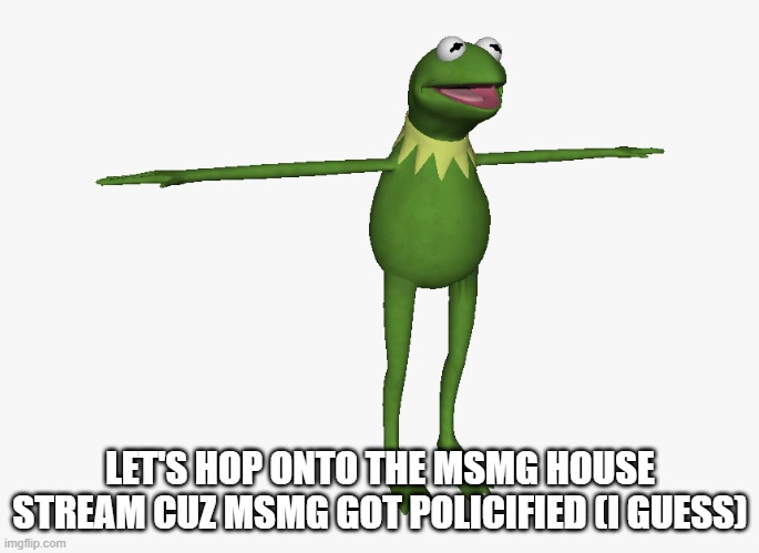 T Pose Kermit | LET'S HOP ONTO THE MSMG HOUSE STREAM CUZ MSMG GOT POLICIFIED (I GUESS) | image tagged in t pose kermit | made w/ Imgflip meme maker