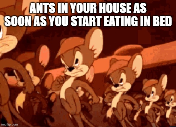 hytrdfghuytghu76tfghuytrfghytredfghytrfghjiuh | ANTS IN YOUR HOUSE AS SOON AS YOU START EATING IN BED | image tagged in fun | made w/ Imgflip meme maker