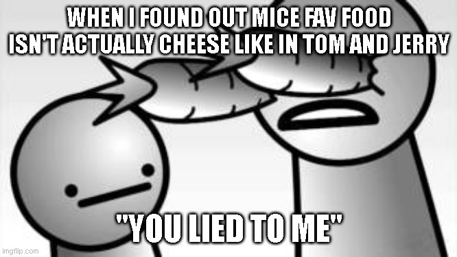 asdf you lied to me | WHEN I FOUND OUT MICE FAV FOOD ISN'T ACTUALLY CHEESE LIKE IN TOM AND JERRY; "YOU LIED TO ME" | image tagged in asdf you lied to me | made w/ Imgflip meme maker