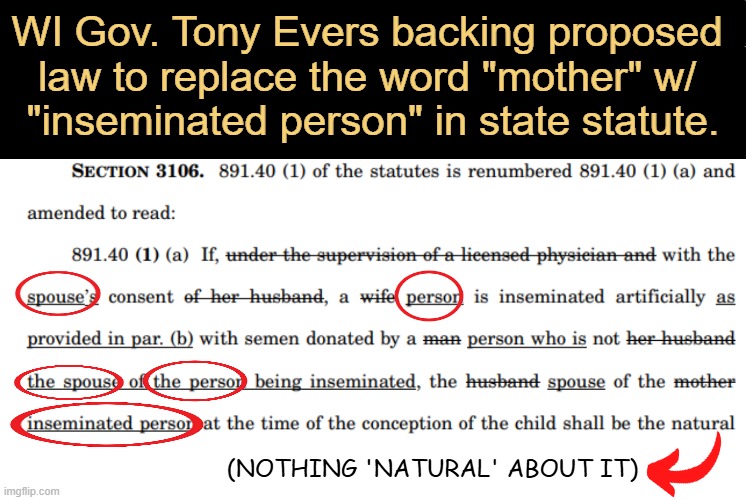 The bill seeks to adopt gender-neutral language while it ignores common sense. | WI Gov. Tony Evers backing proposed 
law to replace the word "mother" w/ 
"inseminated person" in state statute. (NOTHING 'NATURAL' ABOUT IT) | image tagged in wisconsin,governor,democrat,what mother wants to be called an inseminated person,dei,crazy | made w/ Imgflip meme maker