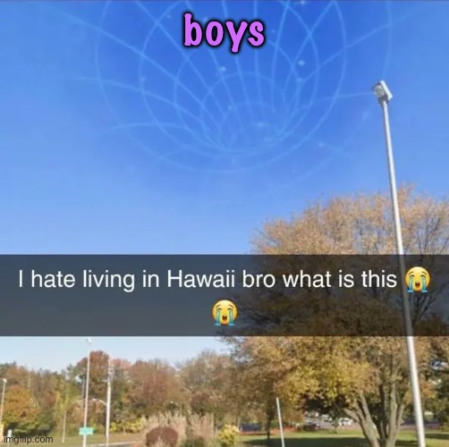 I hate living in Hawaii bro what is this | boys | image tagged in i hate living in hawaii bro what is this | made w/ Imgflip meme maker