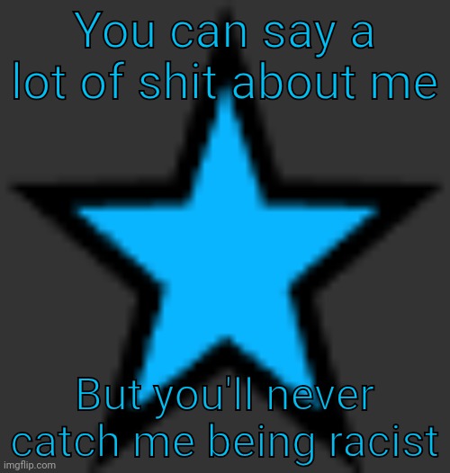 If the n word pass was sexually transmitted I'd have it | You can say a lot of shit about me; But you'll never catch me being racist | image tagged in bluestar | made w/ Imgflip meme maker