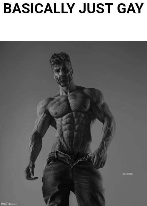 giga chad | BASICALLY JUST GAY | image tagged in giga chad | made w/ Imgflip meme maker