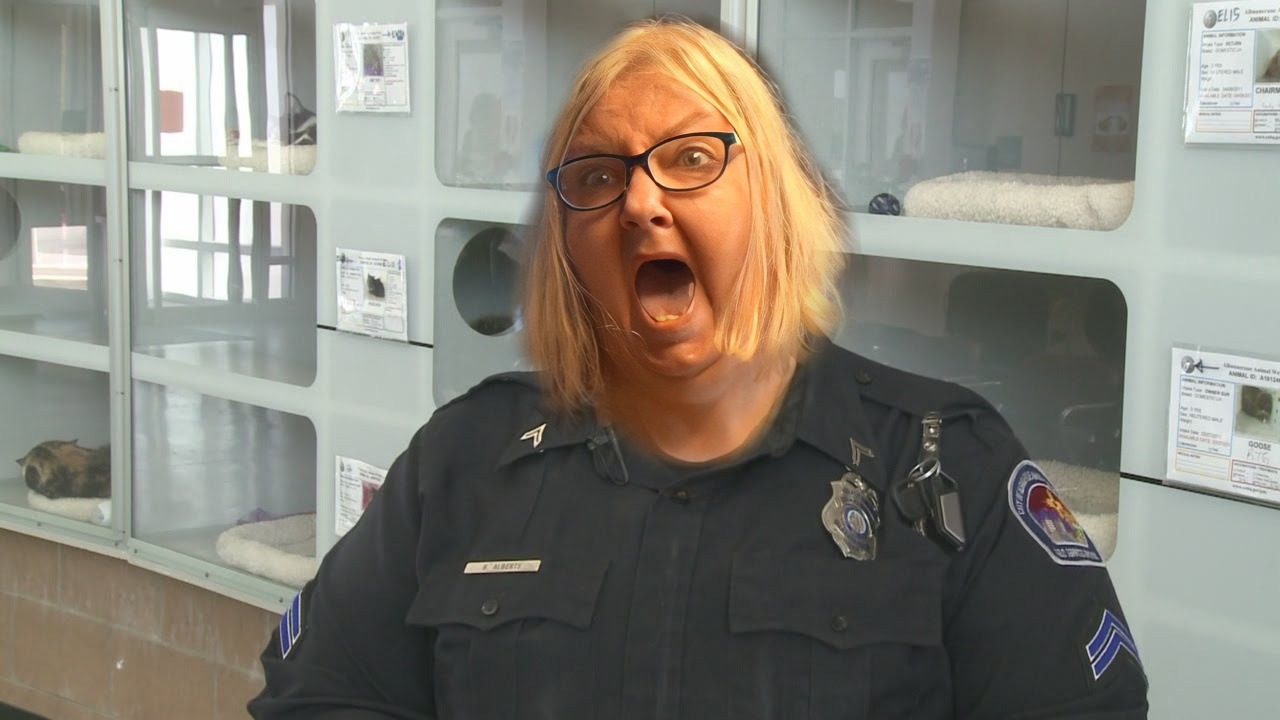 Tina Dandridge Blank Meme Template