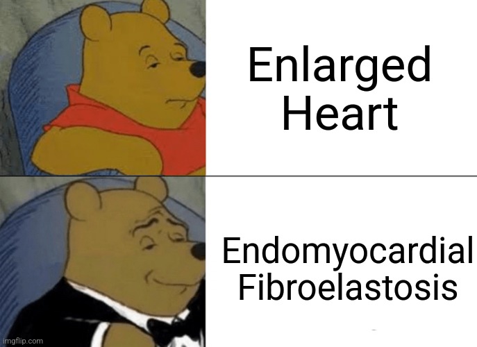 Staying Alive! | Enlarged Heart; Endomyocardial Fibroelastosis | image tagged in memes,tuxedo winnie the pooh | made w/ Imgflip meme maker