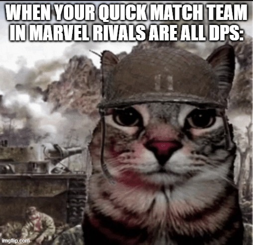 too many dps | WHEN YOUR QUICK MATCH TEAM IN MARVEL RIVALS ARE ALL DPS: | image tagged in thousand yard stare cat,marvel,funny,gaming | made w/ Imgflip meme maker