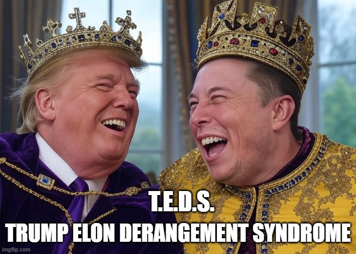 T.E.D.S. | TRUMP ELON DERANGEMENT SYNDROME; T.E.D.S. | image tagged in memes | made w/ Imgflip meme maker