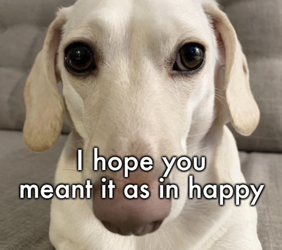 I hope you meant it as in happy Blank Meme Template