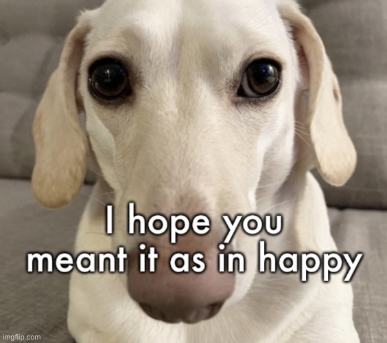 I hope you meant it as in happy | image tagged in i hope you meant it as in happy | made w/ Imgflip meme maker