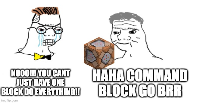 nooo haha go brrr | NOOO!!! YOU CANT JUST HAVE ONE BLOCK DO EVERYTHING!! HAHA COMMAND BLOCK GO BRR | image tagged in nooo haha go brrr | made w/ Imgflip meme maker