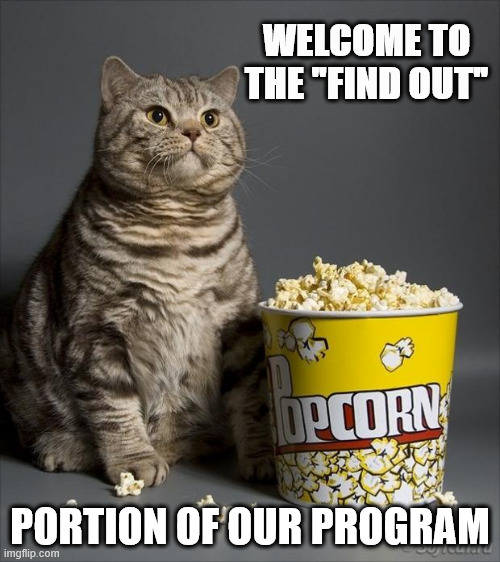 Current state of the US | WELCOME TO THE "FIND OUT"; PORTION OF OUR PROGRAM | image tagged in cat eating popcorn | made w/ Imgflip meme maker