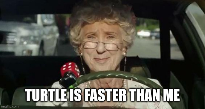 Grandma Driving | TURTLE IS FASTER THAN ME | image tagged in grandma driving | made w/ Imgflip meme maker