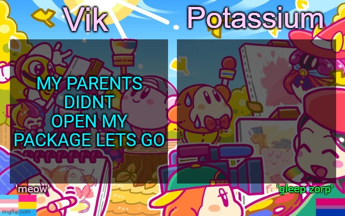 I'm safe | MY PARENTS DIDNT OPEN MY PACKAGE LETS GO | image tagged in viktassium kirby template | made w/ Imgflip meme maker