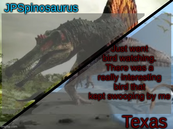 JPSpinosaurus x Texas shared template | Just went bird watching. There was a really interesting bird that kept swooping by me | image tagged in jpspinosaurus x texas shared template | made w/ Imgflip meme maker